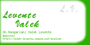 levente valek business card